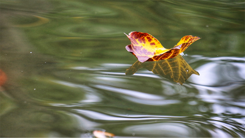 _20201103103450.png